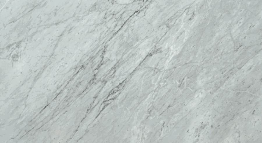 White Carrara Honed-Slab02